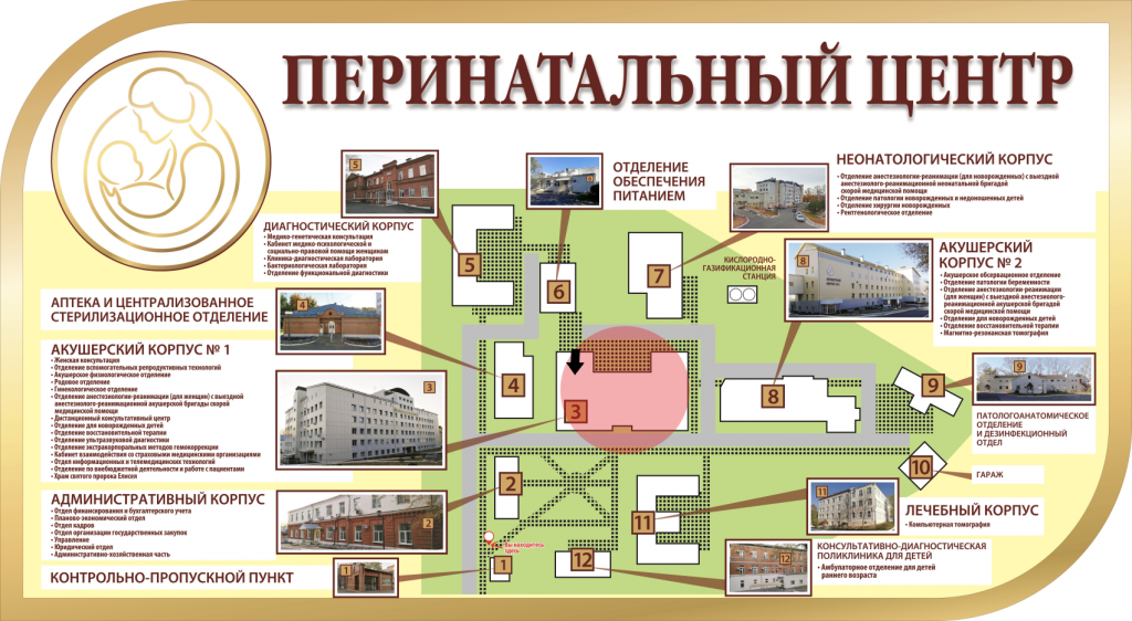 Гинекология стрелка.png Гинекология стрелка.png