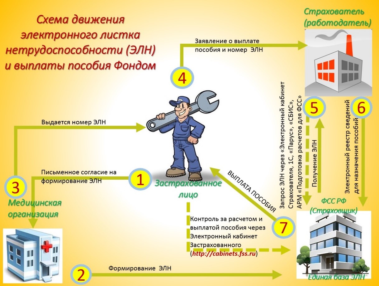 Пособие номер 6. Схема электронный больничный лист. Талон электронного листка нетрудоспособности. Номер электронного листка нетрудоспособности. ЭЛН.